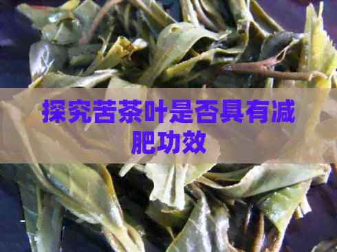 探究苦茶叶是否具有减肥功效