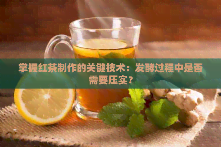 掌握红茶制作的关键技术：发酵过程中是否需要压实？