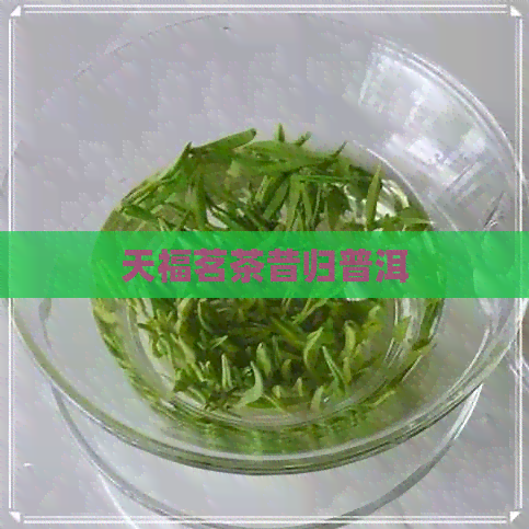 天福茗茶昔归普洱