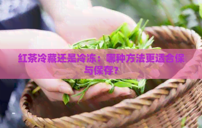 红茶冷藏还是冷冻：哪种方法更适合保与保存？