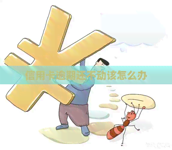 信用卡逾期还不动该怎么办