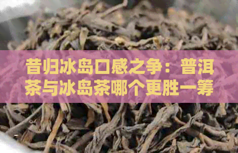 昔归冰岛口感之争：普洱茶与冰岛茶哪个更胜一筹？