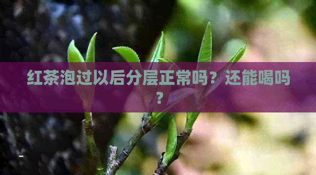 红茶泡过以后分层正常吗？还能喝吗？