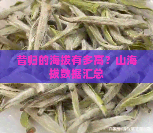 昔归的海拔有多高？山海拔数据汇总