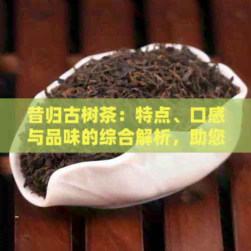 昔归古树茶：特点、口感与品味的综合解析，助您深入了解这一独特茶叶的魅力