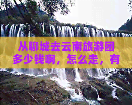 从聊城去云南旅游团多少钱啊，怎么走，有活动吗？