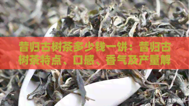 昔归古树茶多少钱一饼：昔归古树茶特点、口感、香气及产量解析