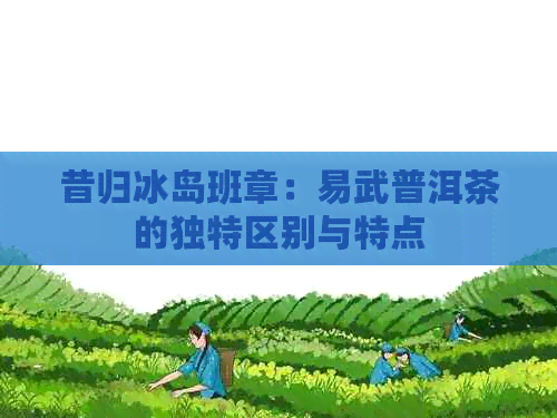 昔归冰岛班章：易武普洱茶的独特区别与特点