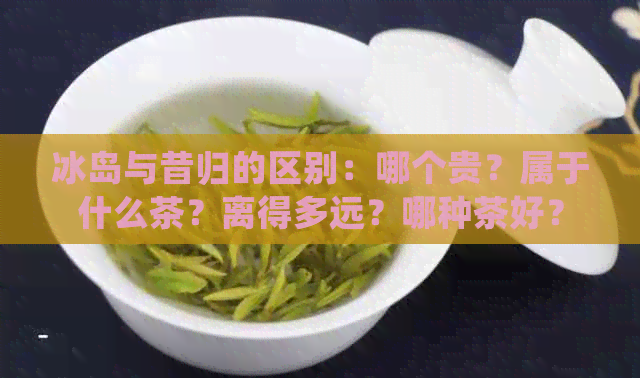 冰岛与昔归的区别：哪个贵？属于什么茶？离得多远？哪种茶好？