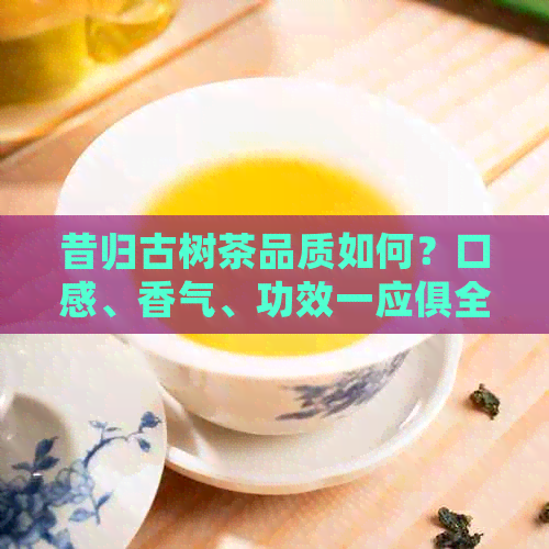 昔归古树茶品质如何？口感、香气、功效一应俱全，助您全面了解昔归茶！