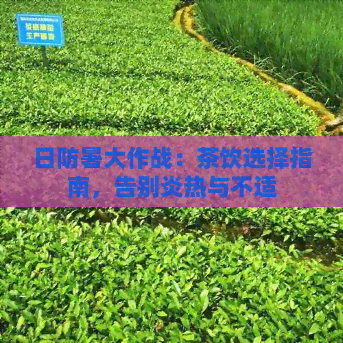 日防暑大作战：茶饮选择指南，告别炎热与不适