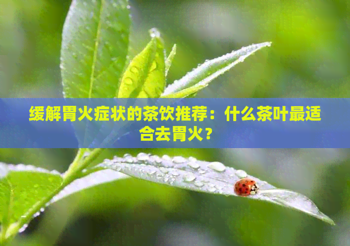 缓解胃火症状的茶饮推荐：什么茶叶最适合去胃火？