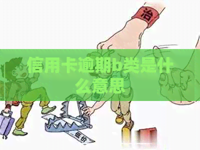 信用卡逾期b类是什么意思