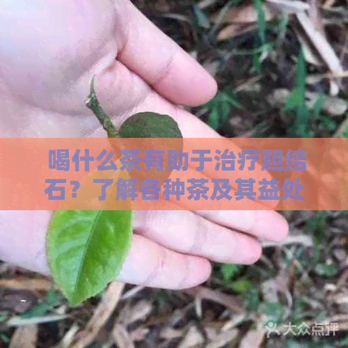  喝什么茶有助于治疗胆结石？了解各种茶及其益处