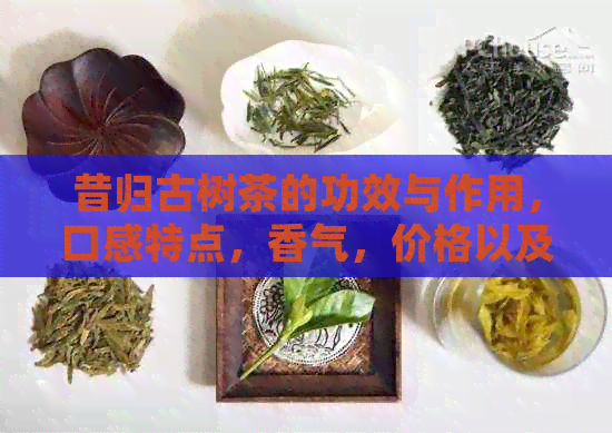 昔归古树茶的功效与作用，口感特点，香气，价格以及购买渠道。