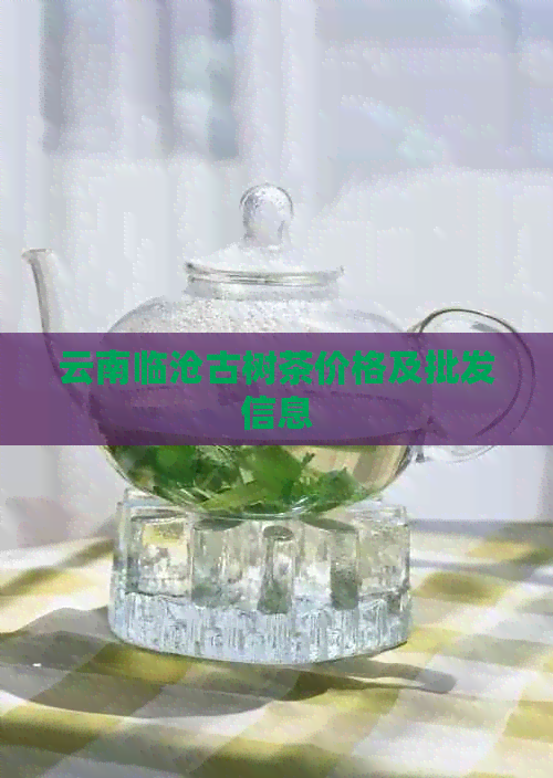 云南临沧古树茶价格及批发信息