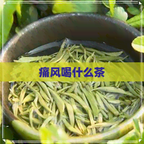 痛风喝什么茶