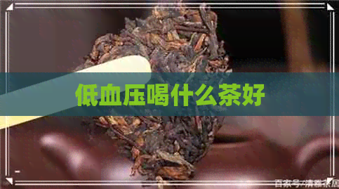 低血压喝什么茶好