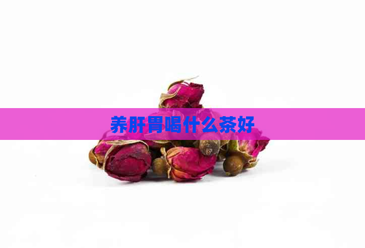 养肝胃喝什么茶好