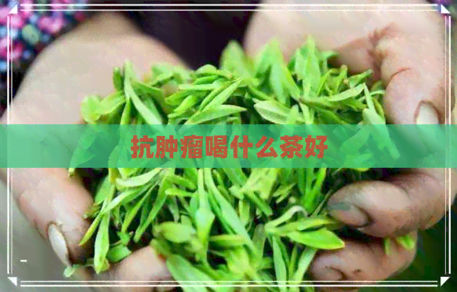 抗肿瘤喝什么茶好