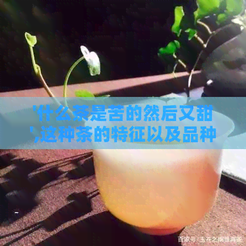 '什么茶是苦的然后又甜',这种茶的特征以及品种是什么？