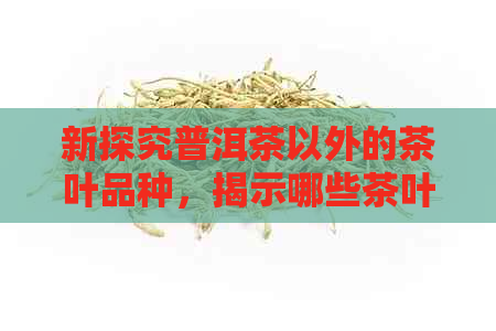 新探究普洱茶以外的茶叶品种，揭示哪些茶叶喝起来带有明显的苦味