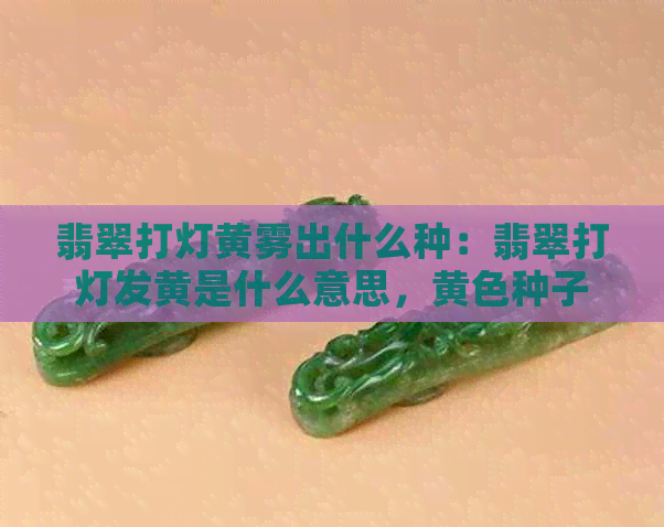 翡翠打灯黄雾出什么种：翡翠打灯发黄是什么意思，黄色种子解析