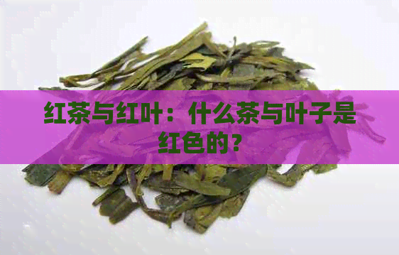 红茶与红叶：什么茶与叶子是红色的？