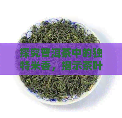 探究普洱茶中的独特米香，揭示茶叶中的糯米香味