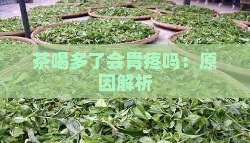 茶喝多了会胃疼吗：原因解析