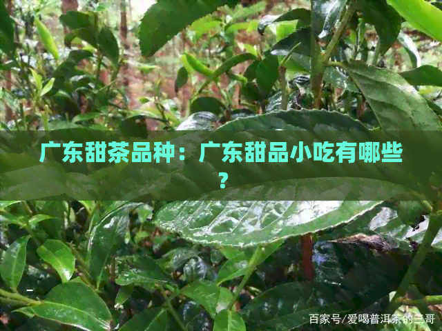 广东甜茶品种：广东甜品小吃有哪些？