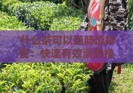 '什么茶可以通肠道排便：快速有效润肠推荐'