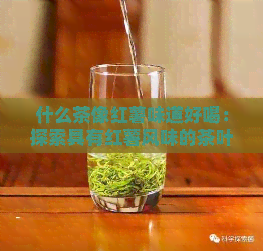 什么茶像红薯味道好喝：探索具有红薯风味的茶叶