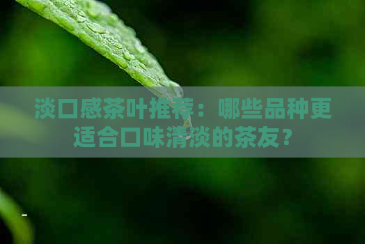 淡口感茶叶推荐：哪些品种更适合口味清淡的茶友？