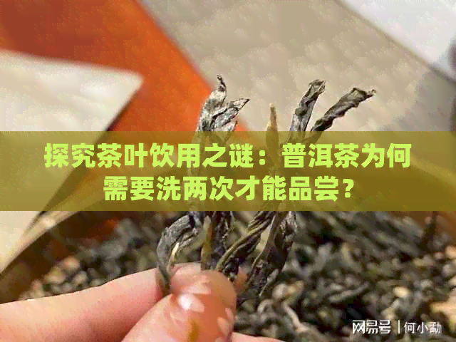 探究茶叶饮用之谜：普洱茶为何需要洗两次才能品尝？