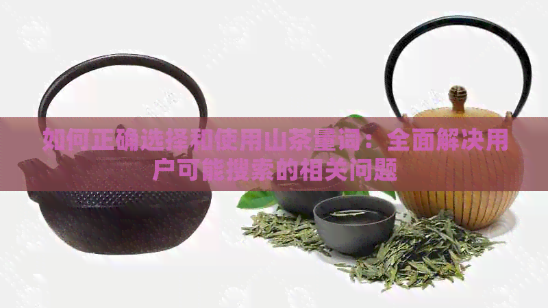 如何正确选择和使用山茶量词：全面解决用户可能搜索的相关问题