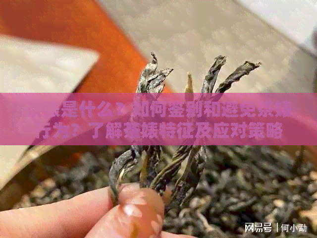 茶婊是什么？如何鉴别和避免茶婊行为？了解茶婊特征及应对策略