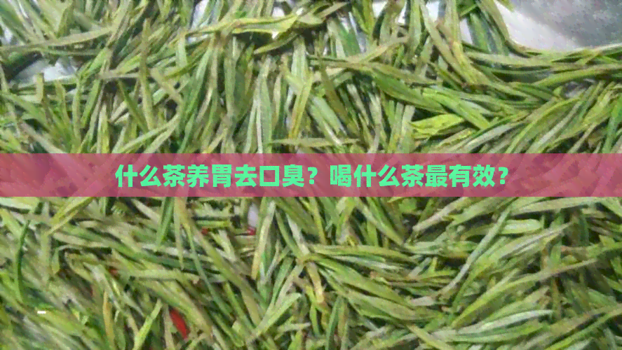 什么茶养胃去口臭？喝什么茶最有效？