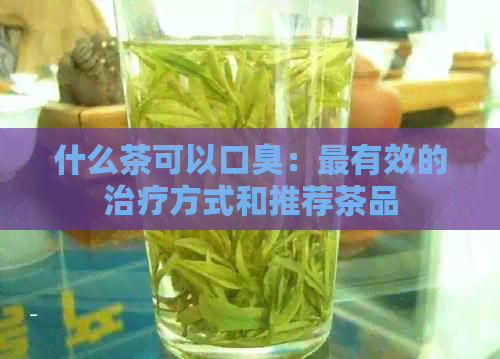 什么茶可以口臭：最有效的治疗方式和推荐茶品