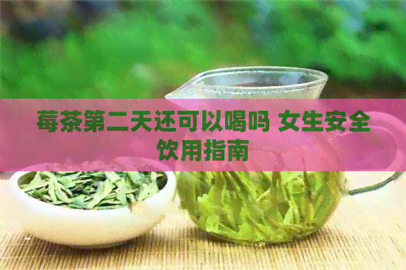 莓茶第二天还可以喝吗 女生安全饮用指南