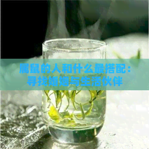 属鼠的人和什么最搭配：寻找婚姻与生活伙伴