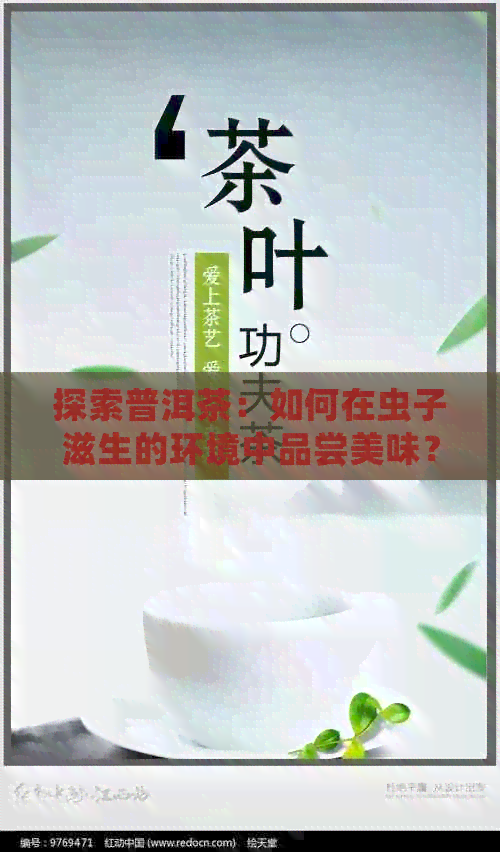 探索普洱茶：如何在虫子滋生的环境中品尝美味？