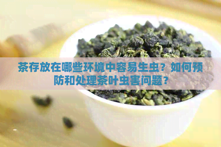 茶存放在哪些环境中容易生虫？如何预防和处理茶叶虫害问题？