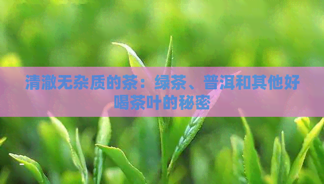 清澈无杂质的茶：绿茶、普洱和其他好喝茶叶的秘密