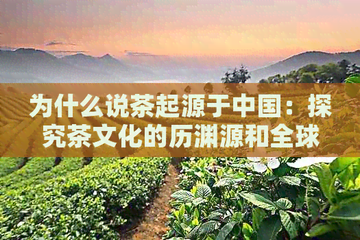 为什么说茶起源于中国：探究茶文化的历渊源和全球影响