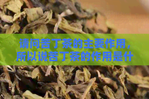 请问苦丁茶的主要作用，所以说苦丁茶的作用是什么？