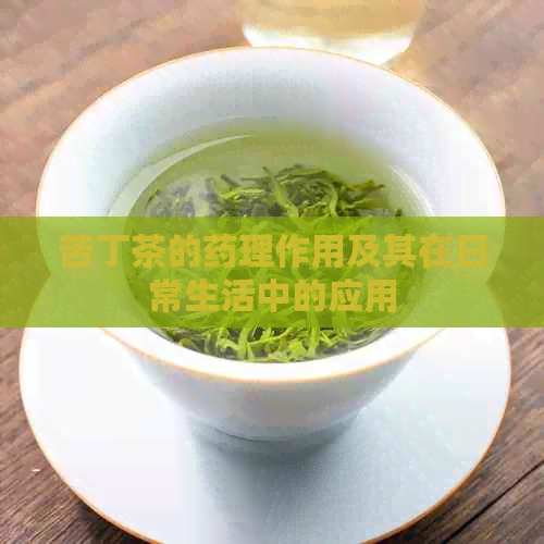 苦丁茶的药理作用及其在日常生活中的应用