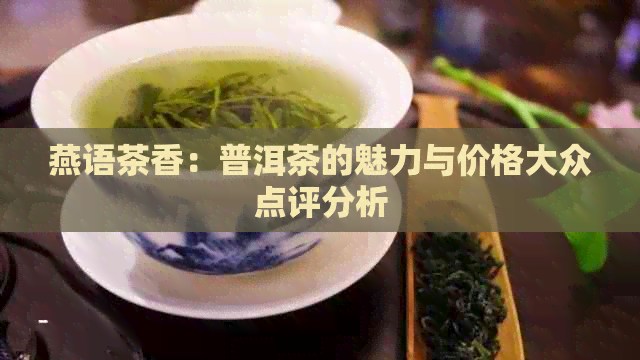 燕语茶香：普洱茶的魅力与价格大众点评分析