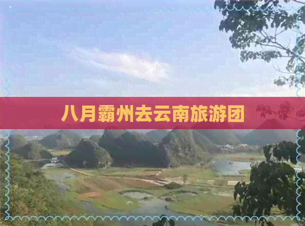 八月霸州去云南旅游团