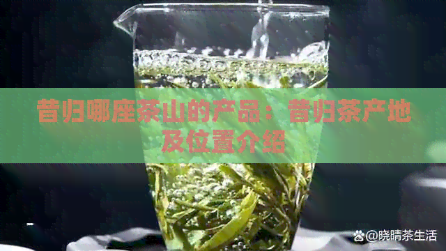 昔归哪座茶山的产品：昔归茶产地及位置介绍